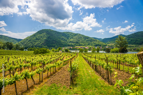 Dürnstein, Wachau, Österreich 