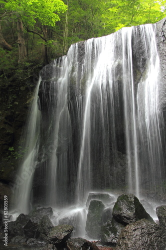 a natural fountain in Japan(a waterfall in Japan)