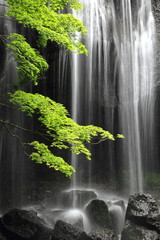 Deken met foto Badkamer Esdoorn bij waterval stille Japanse zomer  © poripotto