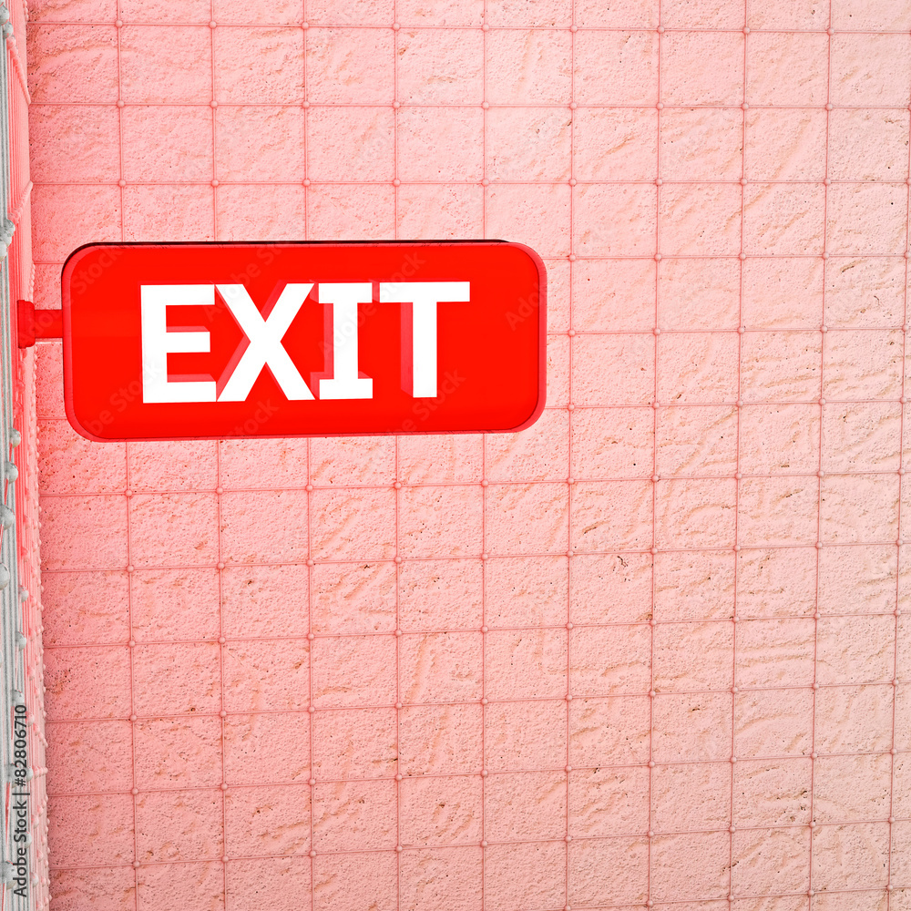 Fototapeta premium Exit Sign - 3d rendered illustration