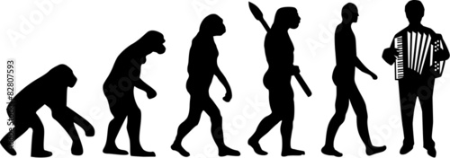 Accordion Evolution