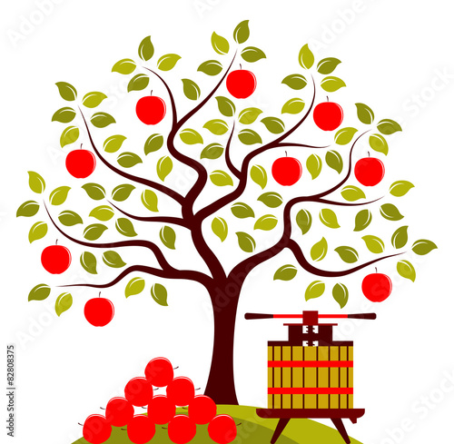 apple harvest