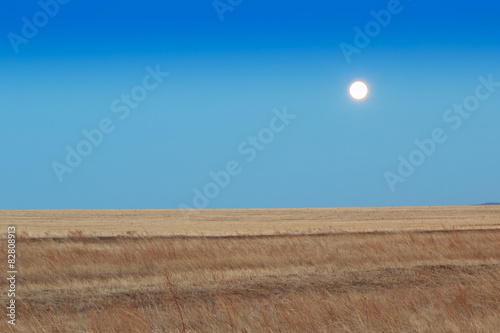 Sunrise in the steppes. Blue sky, yellow grass. © cherniyvg