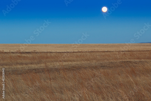 Sunrise in the steppes. Blue sky, yellow grass. © cherniyvg