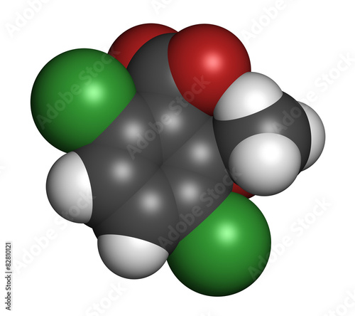 Hydroxycitric acid  (HCA, hydroxycitrate) molecule.  photo