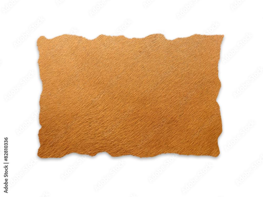banteng skin isolated banteng skin isolated