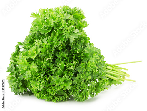 bunch of parsley isolated on a white background