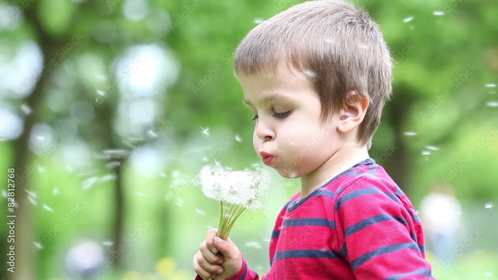 Beautiful little boy, blowing dandelions in the park, close up Beautiful little boy, blowing dandelions in the park, close up