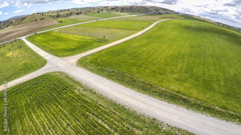 Green fields at springtime