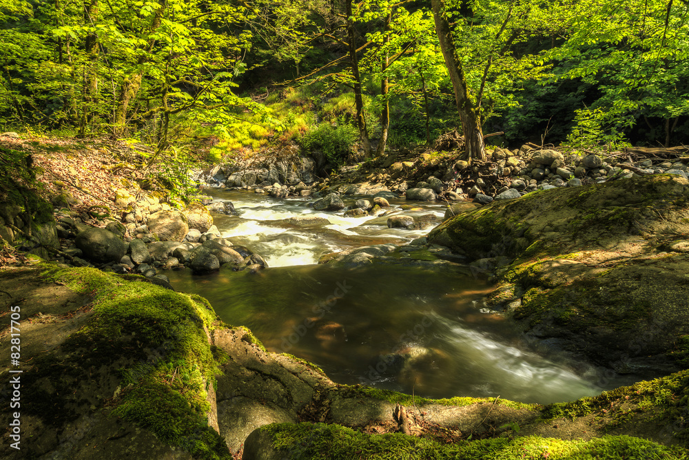 River in Hirkan national park in Lankaran Azerbaijan River in Hirkan national park in Lankaran Azerbaijan