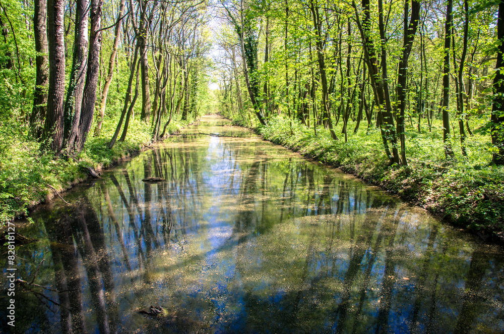 canal with trees around