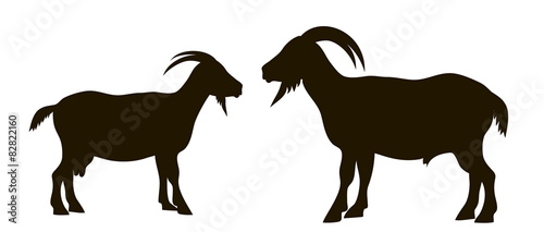 silhouette of goats