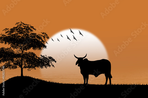 Silhouette cow standing on grass Background sunset © buraratn