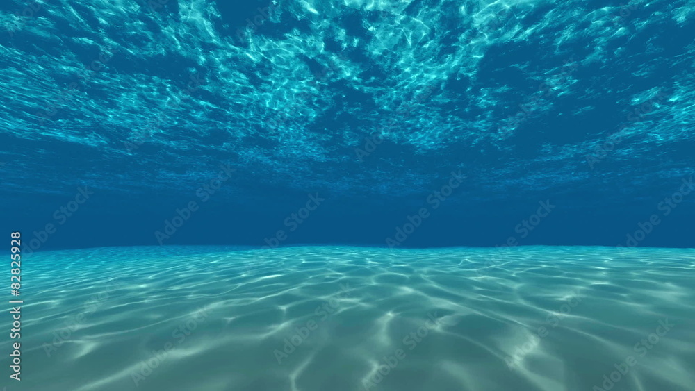 Underwater, ocean surface and bottom