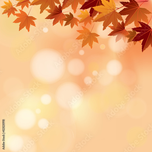 Autumn Pastel Color Bokeh Background