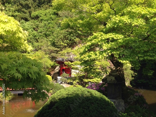 Японский садик photo