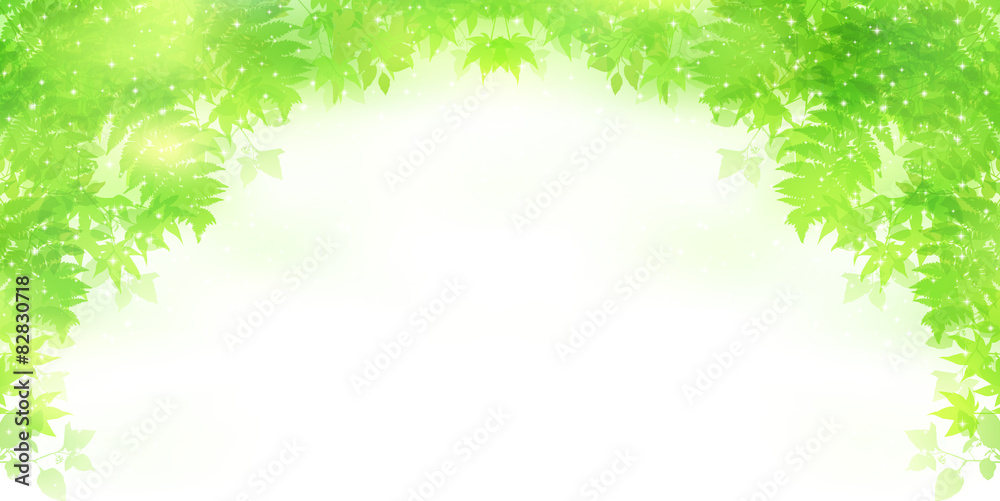 葉 もみじ シダ 葉 もみじ シダ