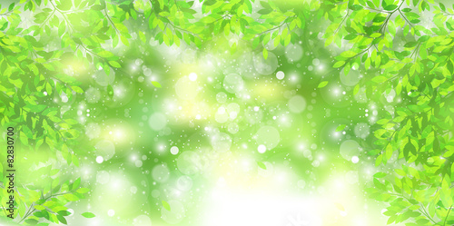 葉　初夏　背景