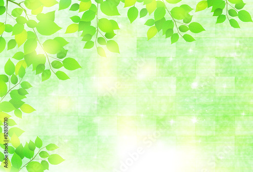 葉　初夏　背景