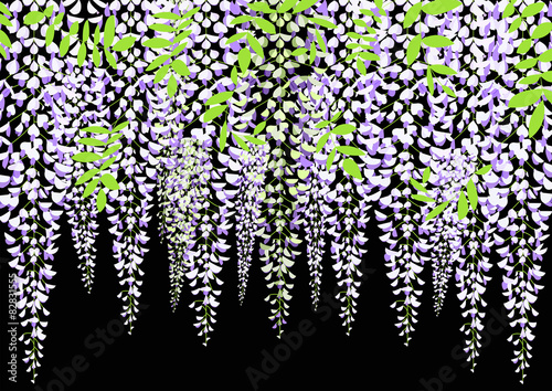 Blooming wisteria branch with leaves, vector illustration