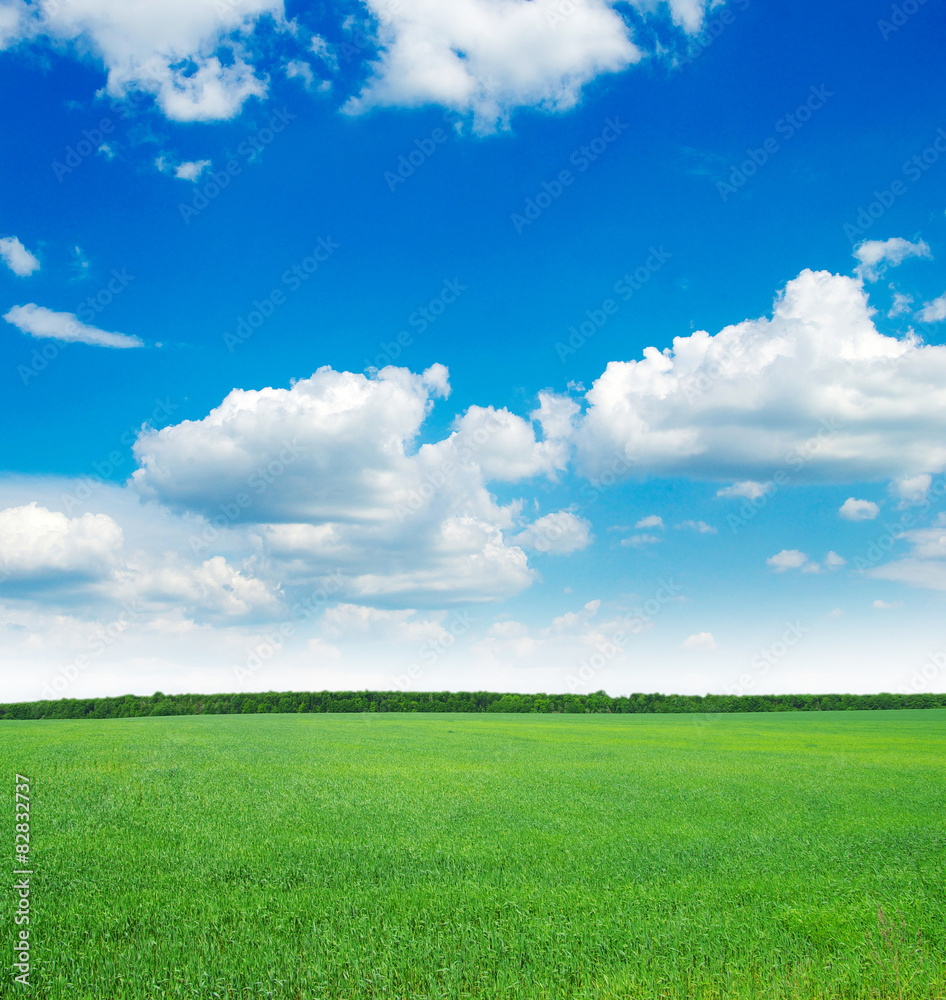 green field and blue sky