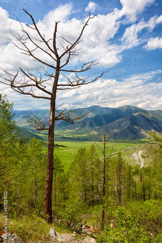 Altai landscapes from mountain pass Chike-Taman