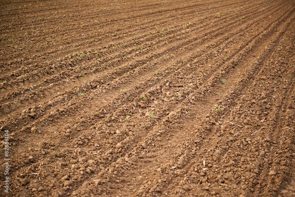 Agricultural field, Arable land soil Agricultural field, Arable land soil
