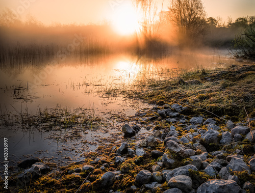 Stones by water of a swamp, the sun rising in the background