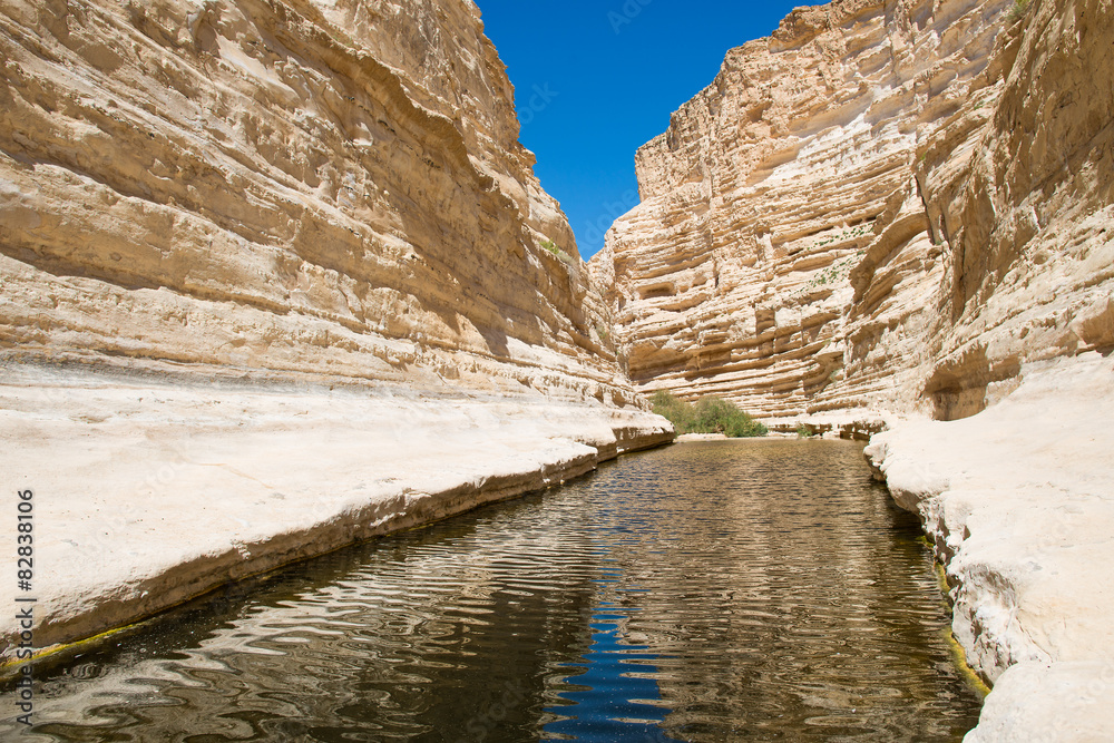 Canyon Ein-Avdat in the Negev desert. Fresh water flowing in the