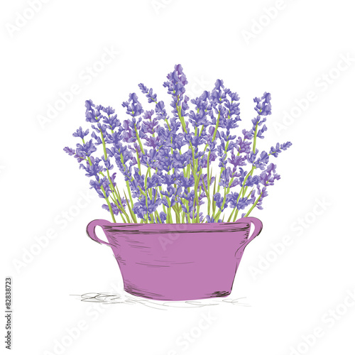 Seamless lavender pattern.