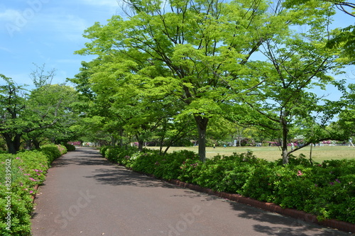 公園