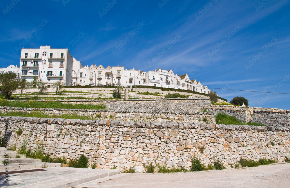 Fototapeta premium Panoramic view of Locorotondo. Puglia. Italy.