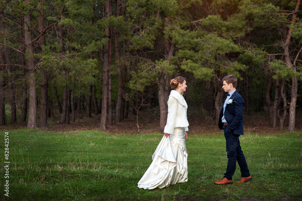 Happy bride and groom walking on the edge of a pine forest in th Happy bride and groom walking on the edge of a pine forest in th