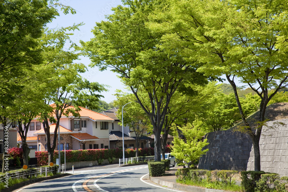 横浜山の手住宅街新緑