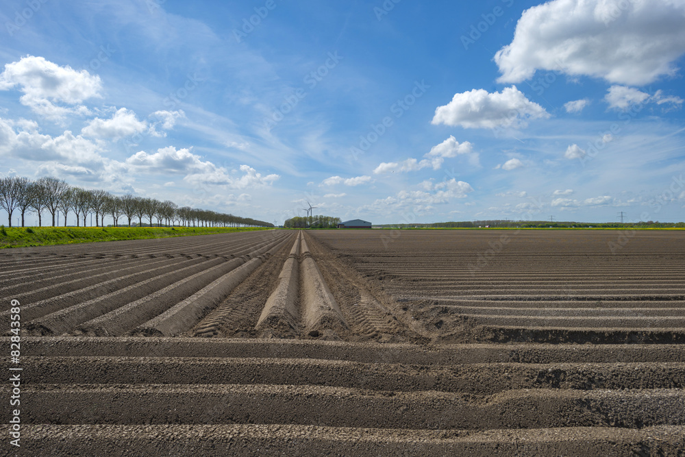 Furrows in a sunny plowed field in spring