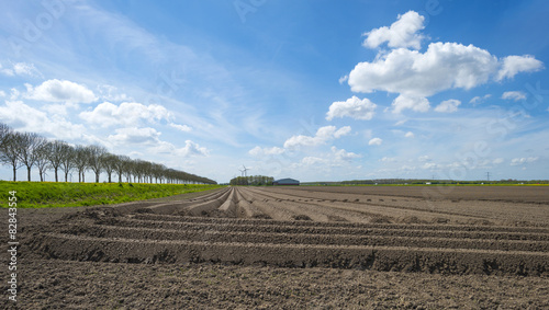 Furrows in a sunny plowed field in spring