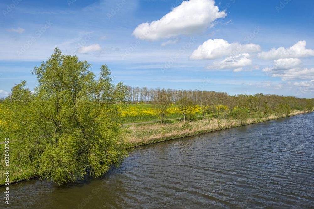 Wild flowers along a sunny canal in spring Wild flowers along a sunny canal in spring