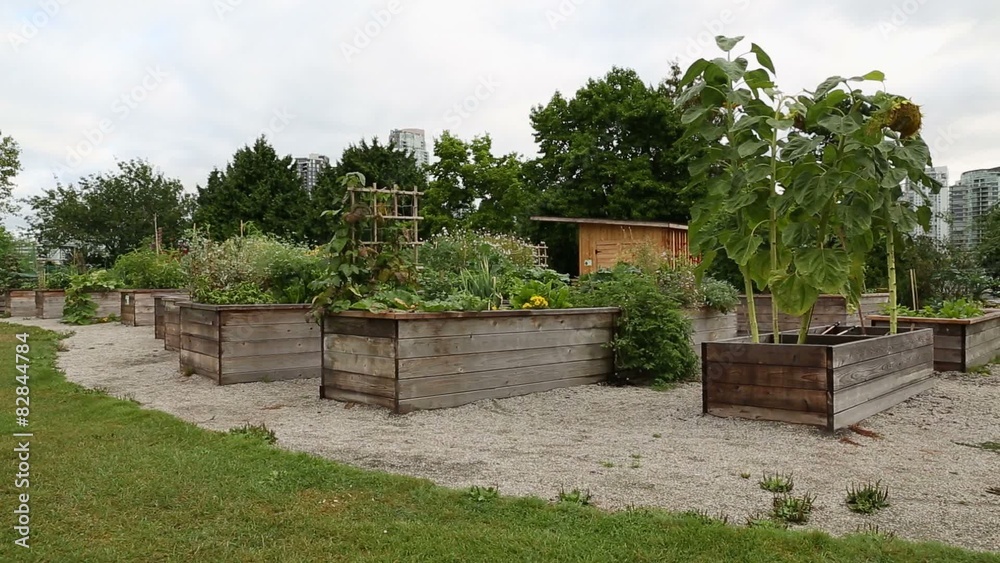 Community Garden, Vancouver
