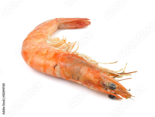 shrimp isolated on white background