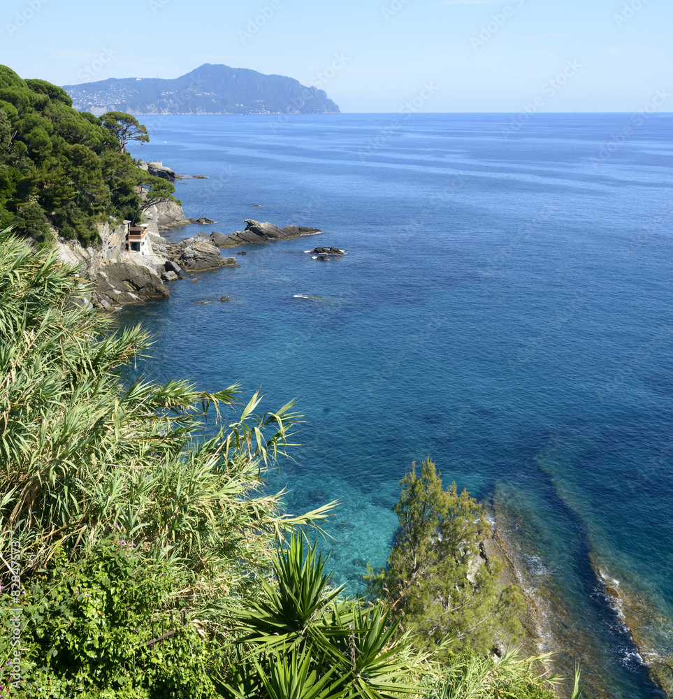 Fototapeta premium Liguria, RIviera di Levante