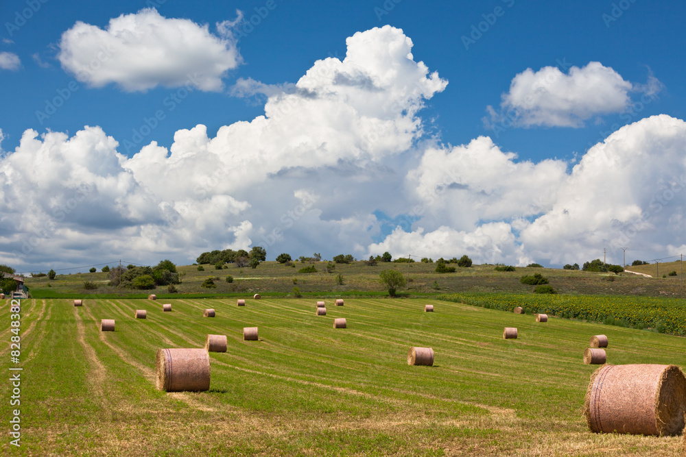 Rural landscape, France