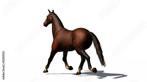 brown horse trots isolated on white background