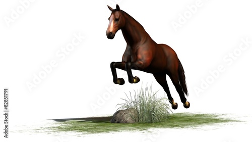 brown horse jumps isolated on white background