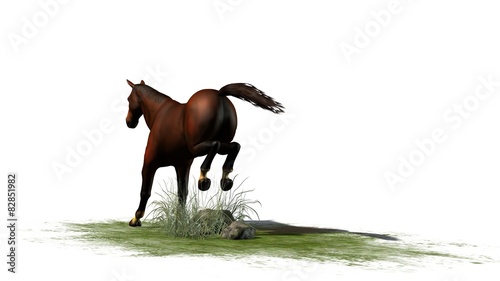 brown horse jumps isolated on white background