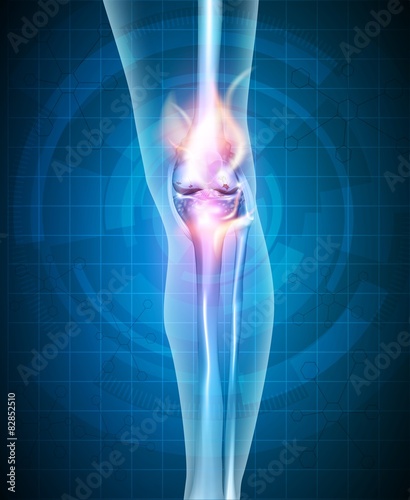 Normal synovial joint anatomy. Healthy joint detailed illustrati