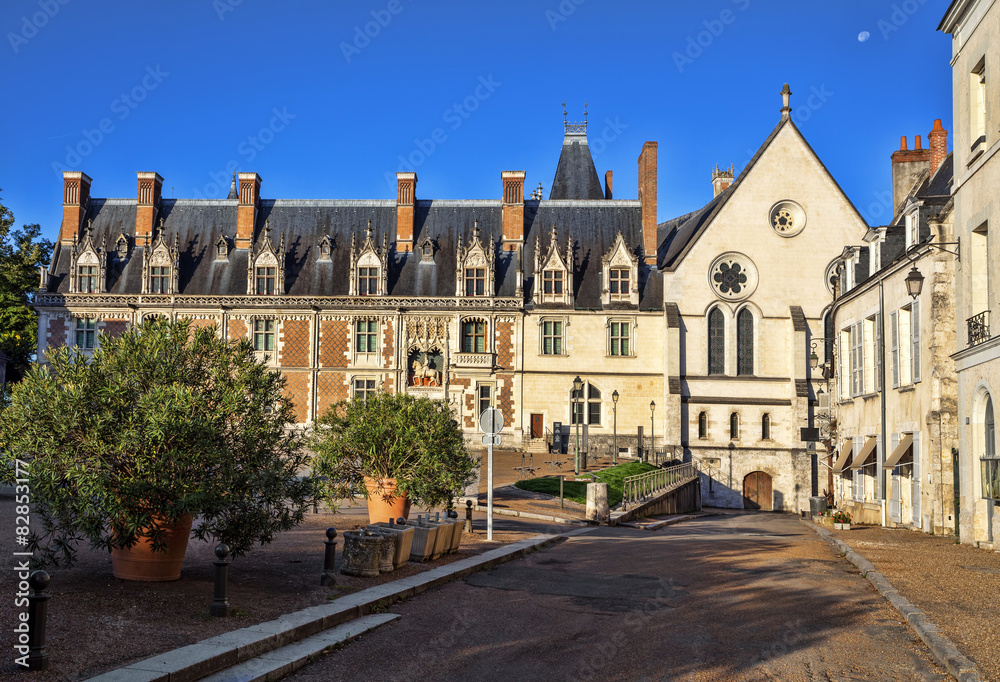 The chateau Royal de Blois: the facade of the Louis XII wing.