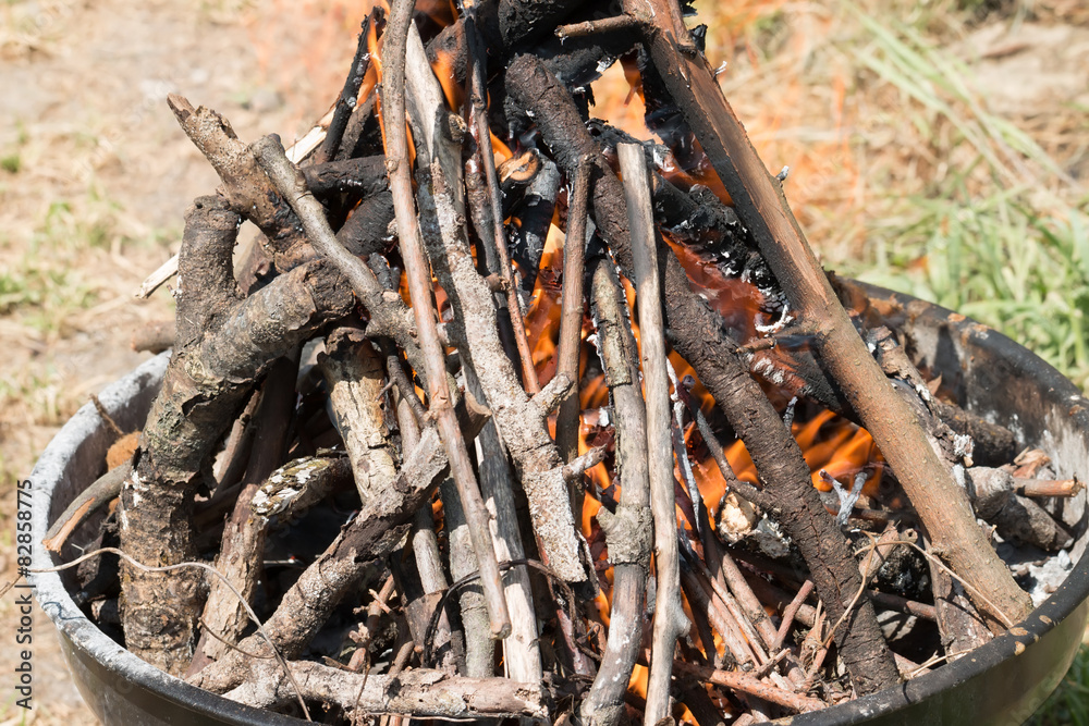 Obraz premium Fire In A Fireplace