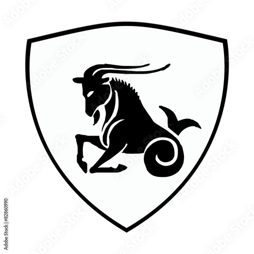 capricornio