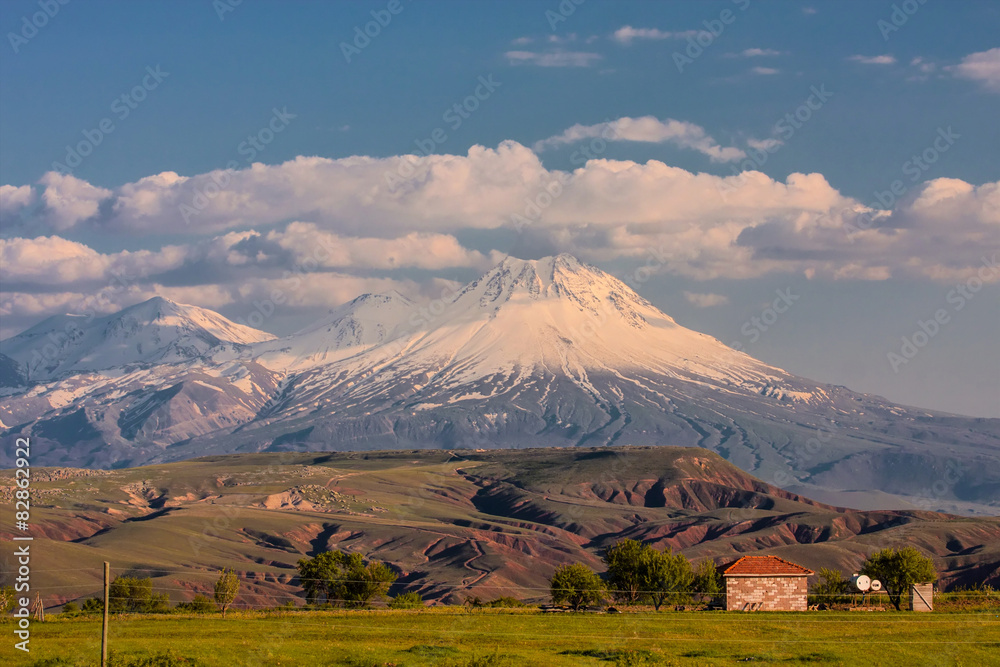 Sacred Mountain Ararat in spring