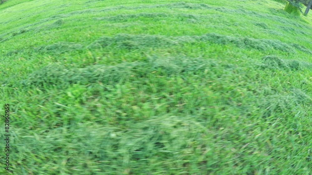 Beveled lawn